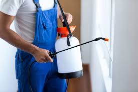 Best Real Estate Pest Inspections  in San Pasqual, CA